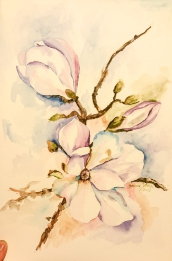 Kwitnące magnolie
