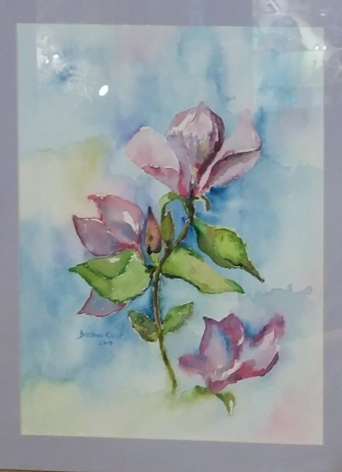 Magnolie szczecińskie