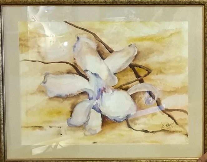 Magnolie
